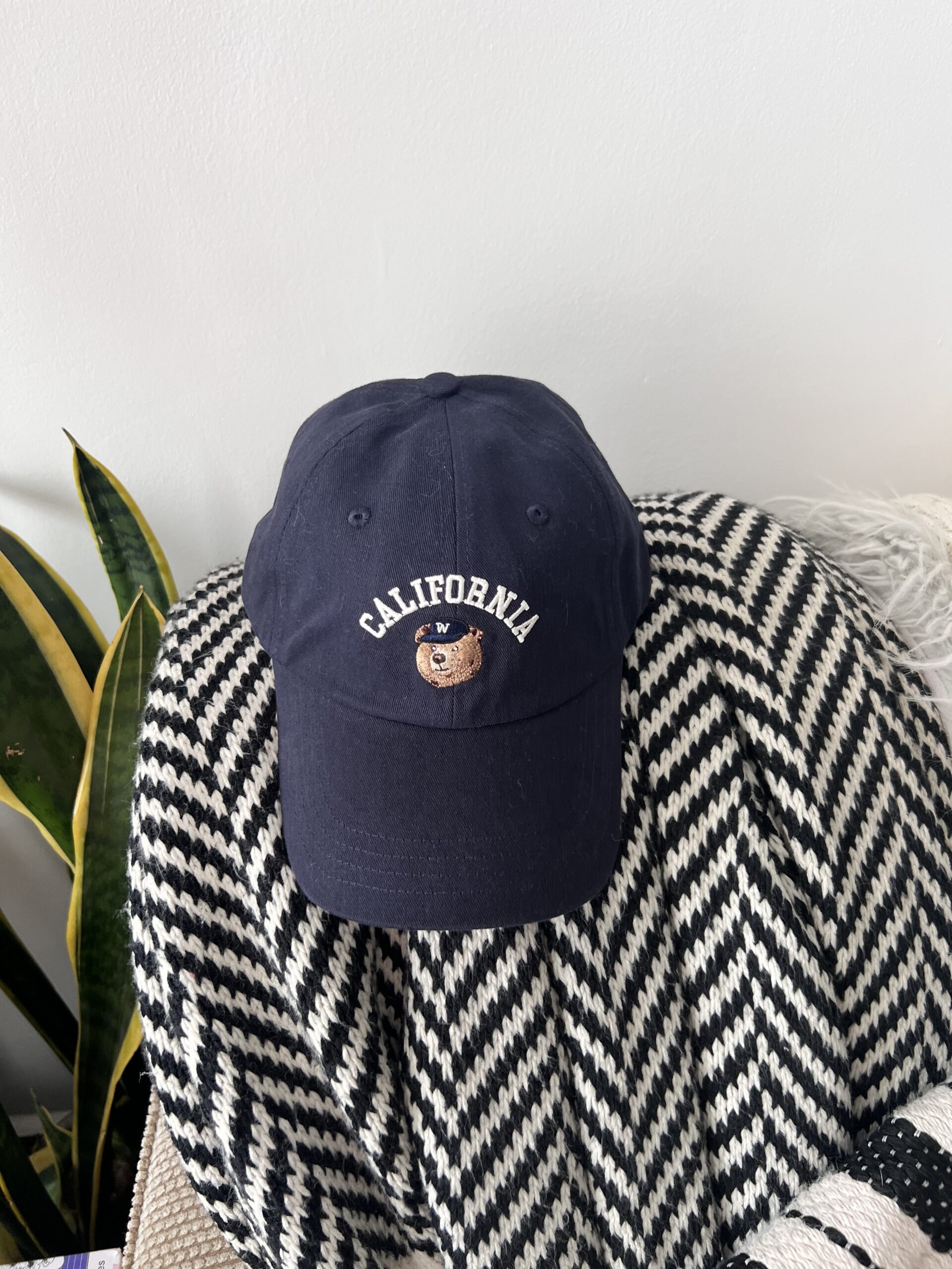 California  WHO.A.U Steve Bear Cap. A Collector Master Piece. (Navy Blu)